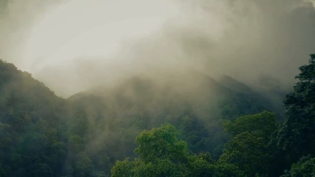 Цените ЖИЗНЬ смотреть онлайн