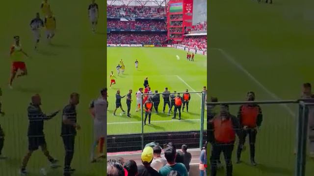 TIAGO VOLPI se encara con directivo de Gallos de Querétaro