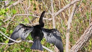 Everglades National Park, Florida