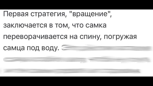УЧЕНЫЕ ВЫЯСНИЛИ, ЧТО ЛЯГУШКИ УМНЫЕ, А ОТ СПОРТА ДЕМЕНЦИЯ смотреть онлайн
