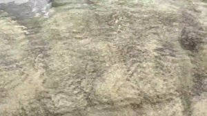 ДАНИК В ПЕРУ. МАНКОРА