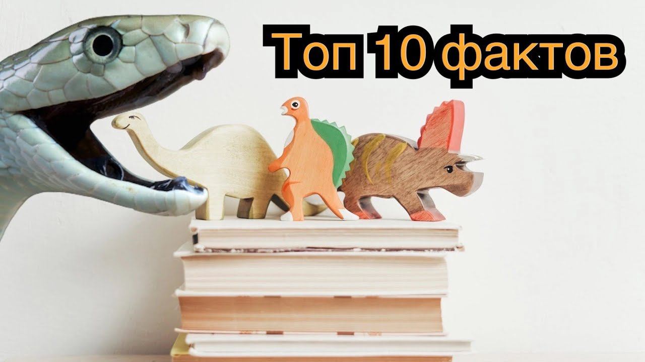 Топ 10 интересных фактов! Лучшая подборка