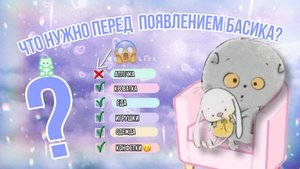 Что нужно перед появлением Басика?