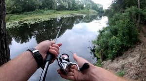 Как ловить на попла поппер? Рыбалка на голавля на кузнечика