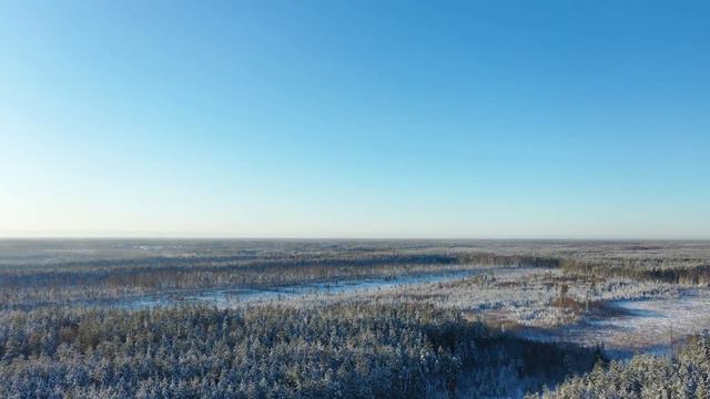 Тайм-лапс одного зимнего дня в Черняковицах смотреть онлайн