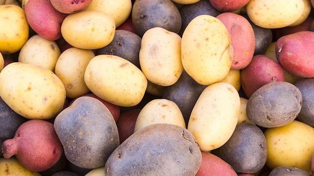Чем отличаются розовый и белый картофель: какая из них больше подойдет для вас