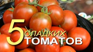 Эти пять СЛАДКИХ томатов завязывают плоды в СЛОЖНЫХ погодных условиях! Советы от ЗЕЛЕНОГО ОГОРОДА!