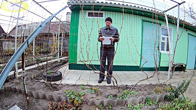 Когда лучше обрезать виноград  весной или осенью-эти сроки научно обоснованы даны в этом видео.