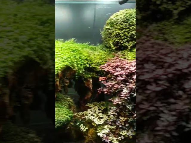 14 июня 2023 г. смотреть онлайн