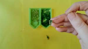 Серьги "Яблочные дольки" Earrings " Apple slices" Простые и эффектные серьги из бисера.