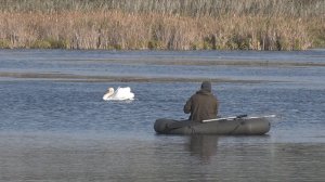 Чижовское озеро, Трубчевский район, Брянская область (14 октября 2023)