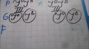 Почему группы крови часто не совпадают у родителей и детей? Как они наследуются?