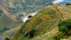 Сура Икра...