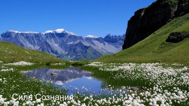 Трансценденция - Звук хлопка одной ладони смотреть онлайн