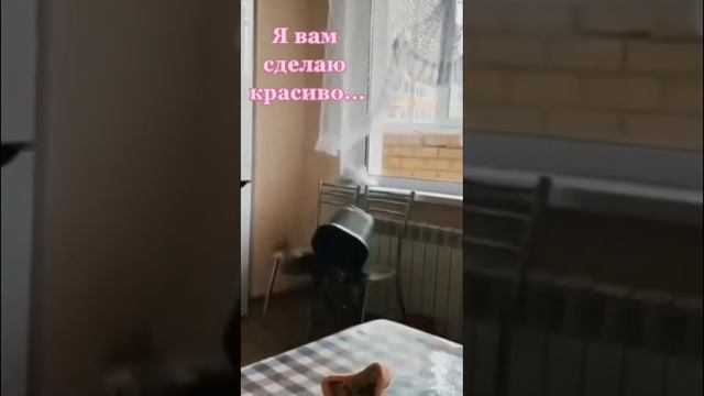 Котик наводит красоту в квартире