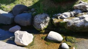 МЖК Зеленоград