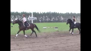 Конный праздник в  Дмитриевке 15 год. 3.