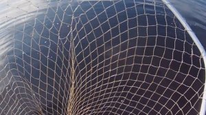 ЛОВЛЮ ЛЕЩА НА СИГАРЕТНЫЕ ФИЛЬТРЫ ? КЛЮЁТ ПОДРЯД