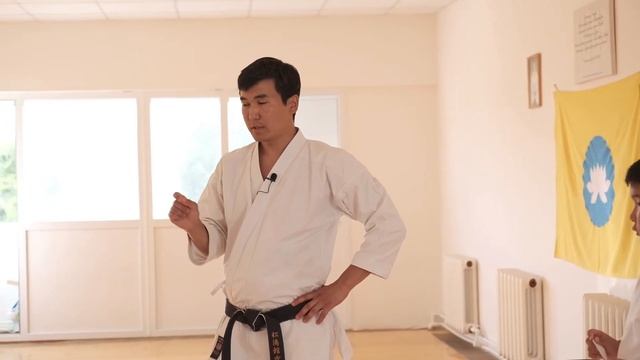 Как выработать у детей концентрацию внимания. Формирование кулака, хикитэ, гедан-барай, мае-гери. смотреть онлайн