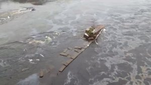 Нарва. Пятна на поверхности воды реки Нарова (Нарва). (Солярка, масло...)