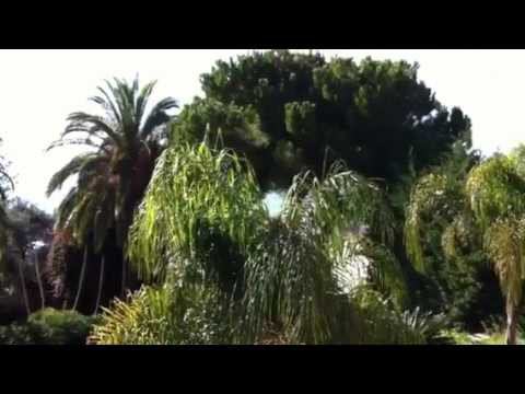 Бордигера вилла с бассейном :: www.immobiliare-russo.com