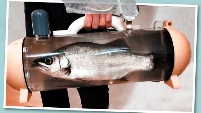 Готов Поспорить, Ты Не Знал Этого #2 смотреть онлайн