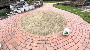 НЕОЖИДАННОЕ ПЕСКОВАНИЕ И ПОСЕВ ГАЗОНА: УСТРАНЯЕМ  ПОСЛЕДСТВИЯ ЛИЧИНОК ХРУЩА! #газон #landscapedesig