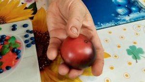 Сорт томата - Голубая Аврора. Очень вкусный сорт с антоцианом.