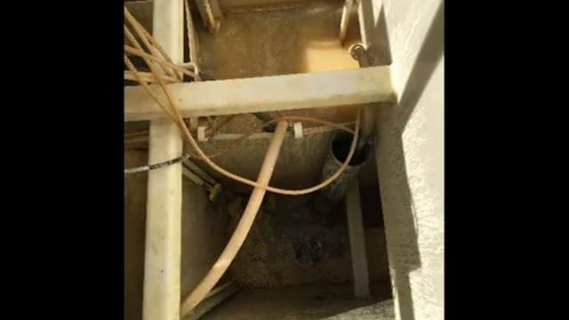 Аэробные бактерии для септика смотреть онлайн