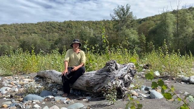 Попугай постоянно несется: причины и что делать? Как остановить хроническую кладку у попугая. смотреть онлайн