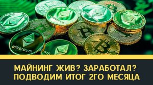Майнинг жив? Сколько заработал? Подводим итог 2го месяца!