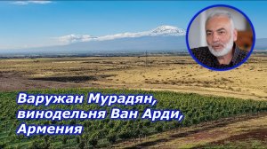 Варужан Мурадян, винодельня Ван Арди, Армения для канала Grape Collective