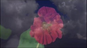 А.Киреев и Диана Гурцкая - Ангелы надежды.mp4