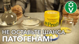 НЕВЕРОЯТНЫЕ СВОЙСТВА ТРИХОДЕРМЫ! ЭТОГО О ГРИБАХ ВЫ ЕЩЁ НЕ ЗНАЛИ!