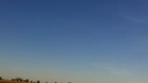 модель самолета Ан-2 - второй полет