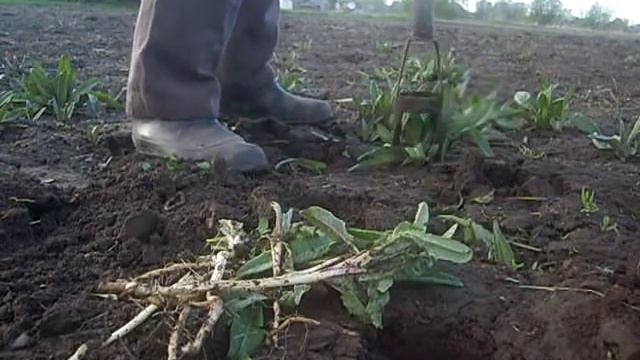 Приспособление для удаления ОСОТА смотреть онлайн