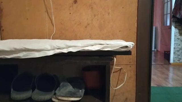 кот звонит в звонок! смотреть онлайн