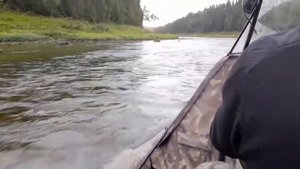 На аэролодке по не забываемым местам реки Вороговка?