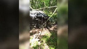 Наша дружная "покатушка". Краснодарский край: ст.Крепостная - ст.Азовская. 22.05.2022г.