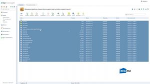 Как перенести сайт WordPress на хостинг REG.RU самостоятельно