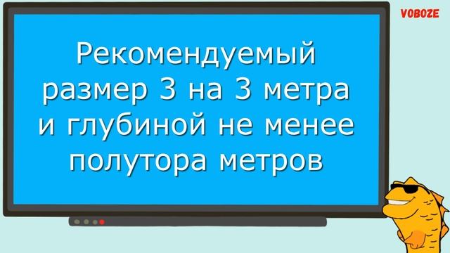 КАРП КОИ. Содержание в аквариуме, в пруду, кормление и разведение карпа кои
