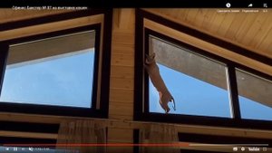 Презентация кота породы канадский сфинкс  Бакстер Аманте