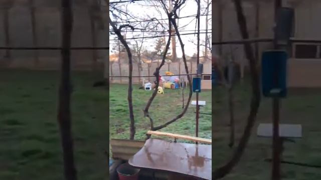 Пожар Саки 07.03.19 смотреть онлайн