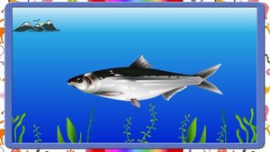 "Рыбы речные и морские"