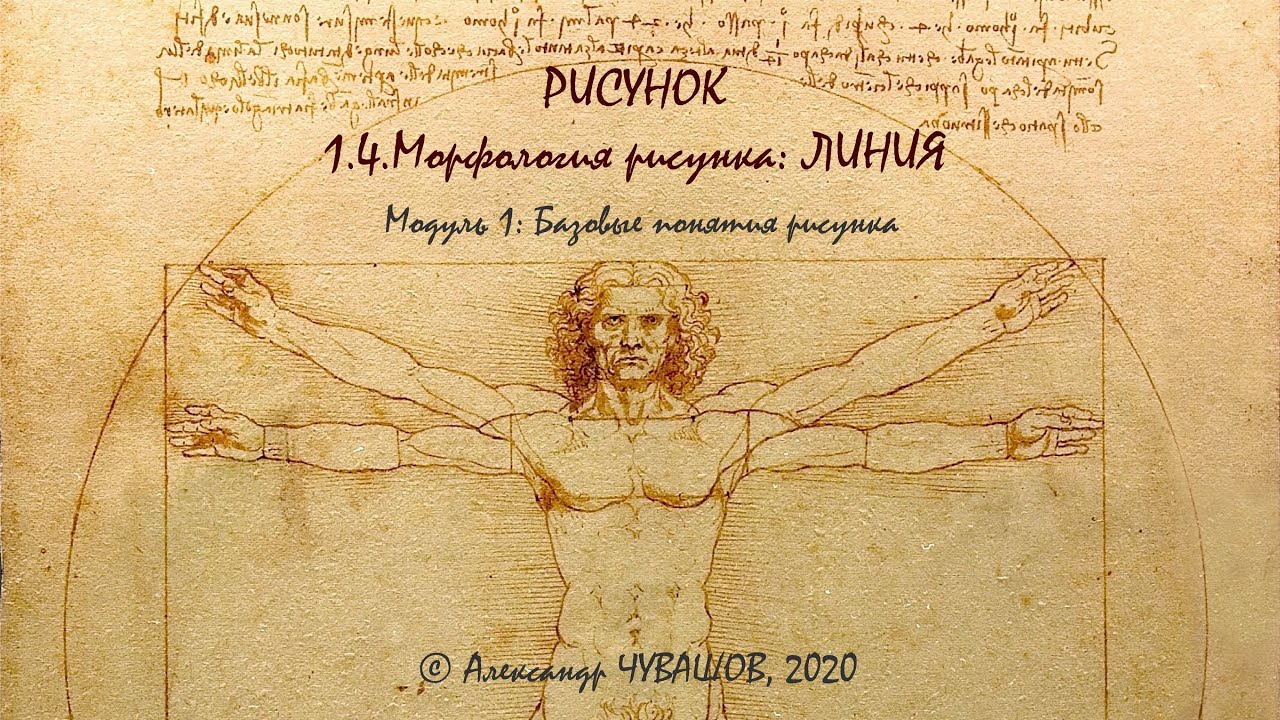 1.4. Морфология рисунка Линия