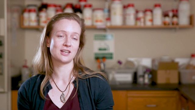 Massachusetts Institute of Technology (MIT), Department of Chemical Engineering смотреть онлайн