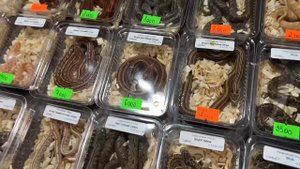 Террамания осень 2023!!!