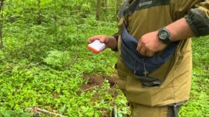 Классные находки в лесу с лютыми комарами / Лесные Копатели