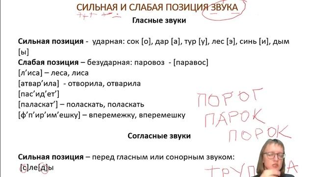 Русский язык - занятие №1 смотреть онлайн