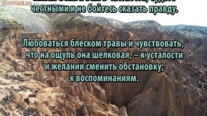 К чему снится Трава сонник, толкование сна